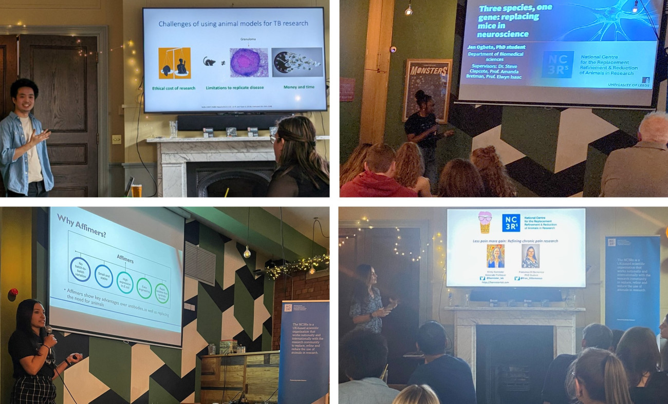 NC3Rs-funded researchers presenting at Pint of Science events in 2023.