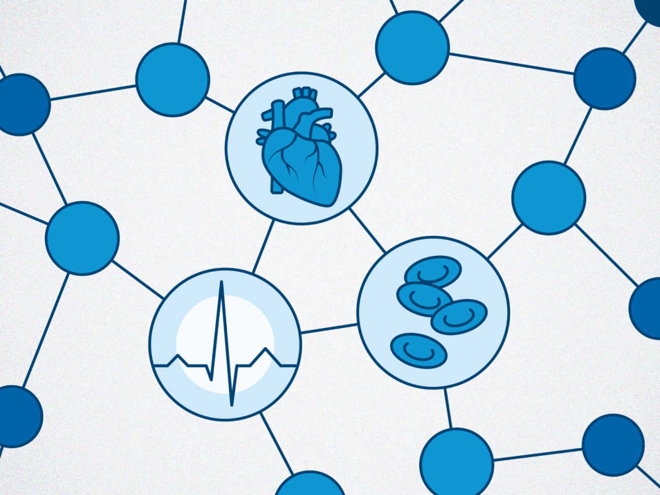 Graphic showing an anotomical heart, blood cells and ECG readout.