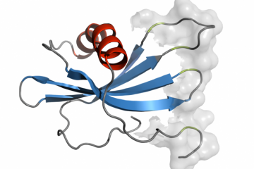 Blue affimers binding proteins 