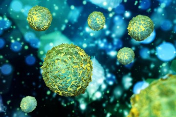 Computer coloured image of immune cells