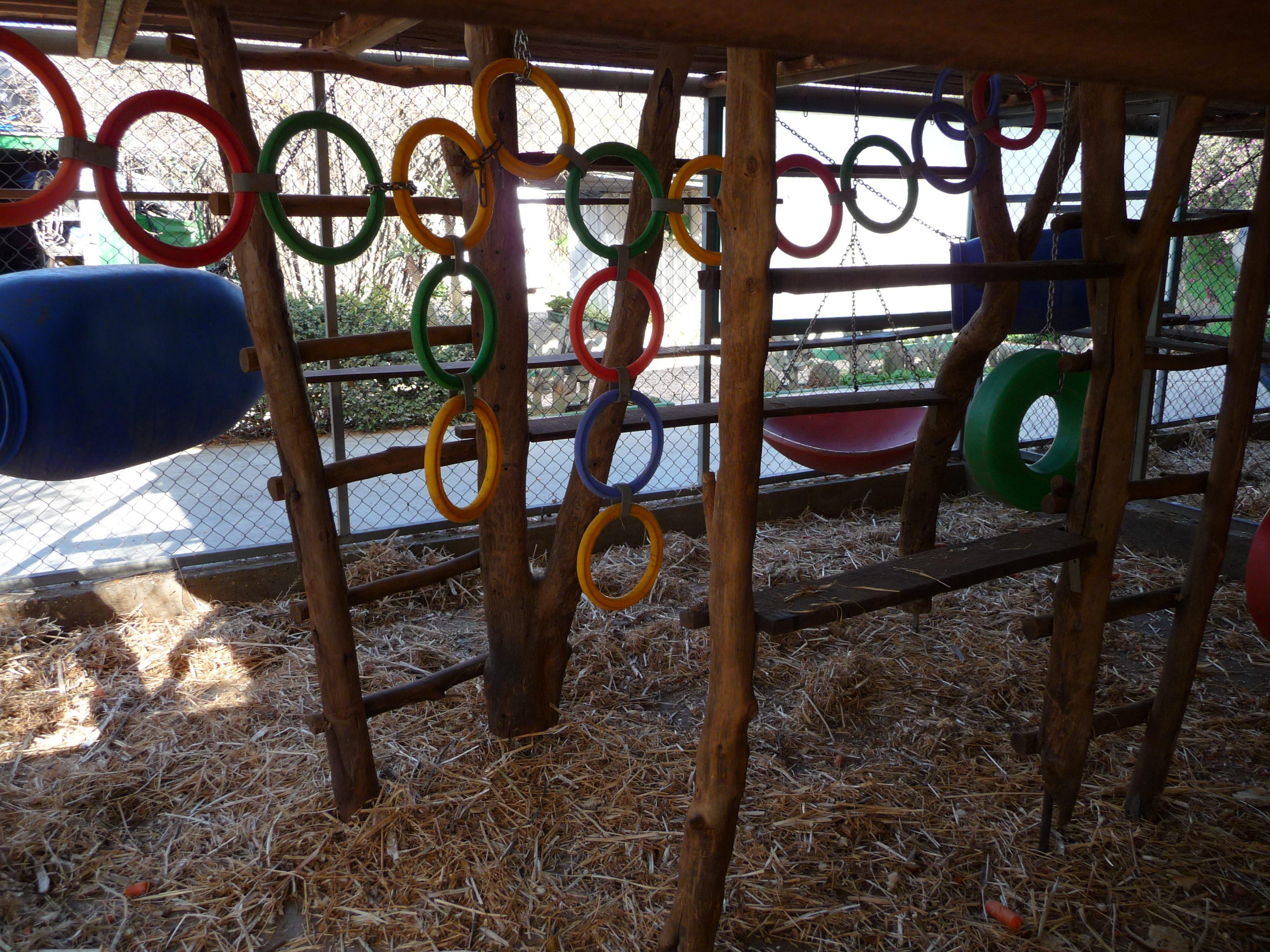 Suspended rings in an outdoor enclosure for climbing, in a variety of colours
