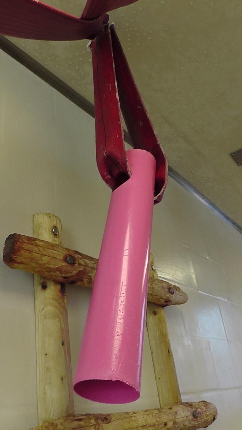 PVC pipe suspended from fire hose for structural enrichment