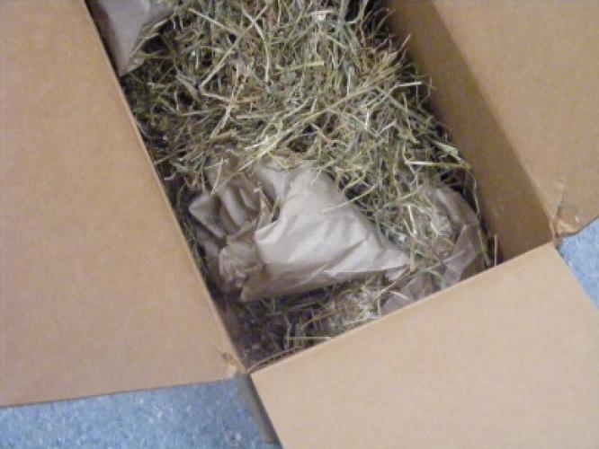 Cardboard box filled with hay and forage packet