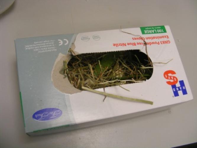 A cardboard glove box stuffed with hay and treats